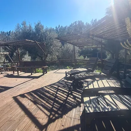 Holiday home Quinta Dos Milagres Friumes